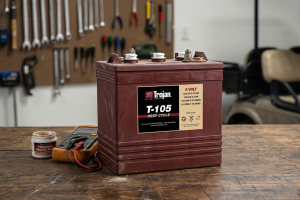 Golf Cart Charger Not Working