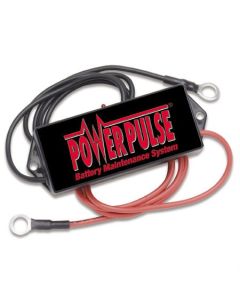 48 Volt PowerPulse PP48L Lead-Acid Battery Desulfator