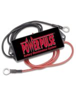 48 Volt PowerPulse PP48L Lead-Acid Battery Desulfator