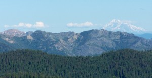 Mt. Shasta