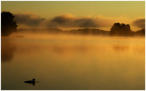 Michelle Valberg image for BassMaster Elite Rick Morris